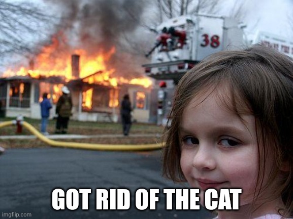 GOT RID OF THE CAT | image tagged in memes,disaster girl | made w/ Imgflip meme maker