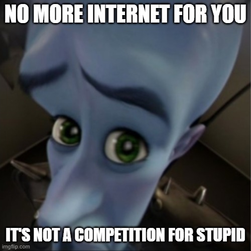 Megamind peeking | NO MORE INTERNET FOR YOU; IT'S NOT A COMPETITION FOR STUPID | image tagged in megamind peeking | made w/ Imgflip meme maker