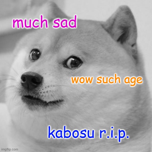 Doge dies | much sad; wow such age; kabosu r.i.p. | image tagged in memes,doge | made w/ Imgflip meme maker