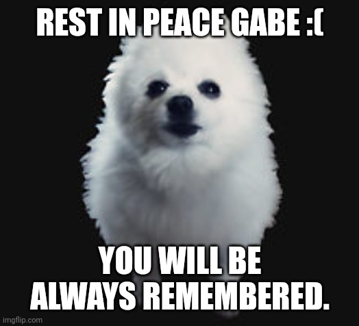 R.I.P Gabe | REST IN PEACE GABE :(; YOU WILL BE ALWAYS REMEMBERED. | image tagged in memes,gabe the dog,rip gabe | made w/ Imgflip meme maker