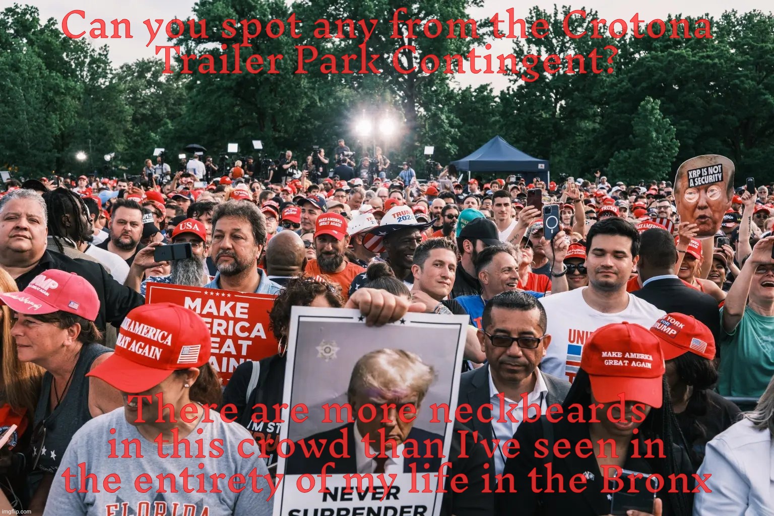 I'm just wondering what street in Crotona did all the neckbeards come from? | Can you spot any from the Crotona
Trailer Park Contingent? There are more neckbeards in this crowd than I've seen in the entirety of my life in the Bronx | image tagged in crotona park,bronx,trump rally,trump,maga,magats voting for the guy who wants to deport them | made w/ Imgflip meme maker