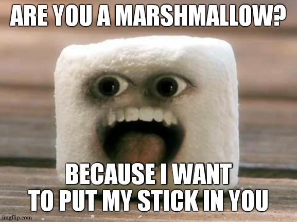 Marshmallow Scream | ARE YOU A MARSHMALLOW? BECAUSE I WANT TO PUT MY STICK IN YOU | image tagged in marshmallow scream | made w/ Imgflip meme maker