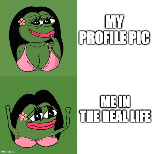 RoxyFrog | MY PROFILE PIC; ME IN THE REAL LIFE | image tagged in roxythefrog | made w/ Imgflip meme maker