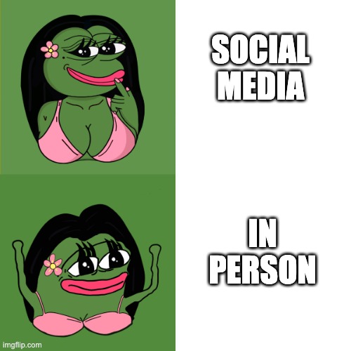 Roxyfrog | SOCIAL MEDIA; IN PERSON | image tagged in roxythefrog | made w/ Imgflip meme maker