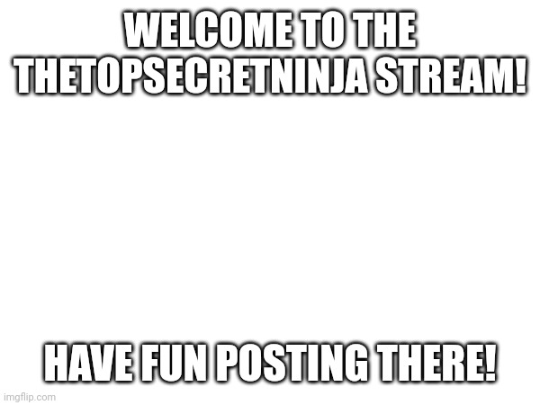 Have fun you guys in there! | WELCOME TO THE THETOPSECRETNINJA STREAM! HAVE FUN POSTING THERE! | image tagged in streams | made w/ Imgflip meme maker