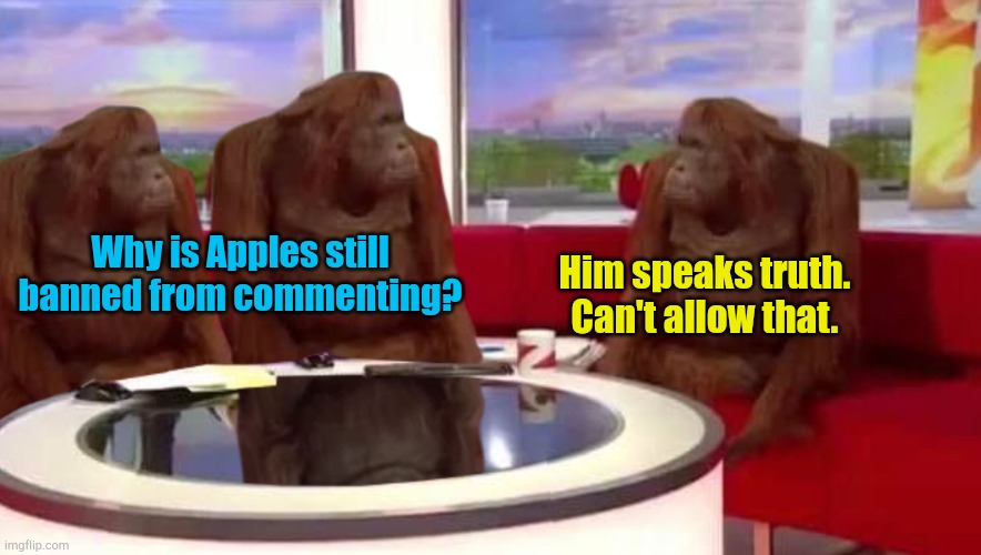 Weekly meeting of Politics mods | Why is Apples still banned from commenting? Him speaks truth.
Can't allow that. | image tagged in where monkey | made w/ Imgflip meme maker