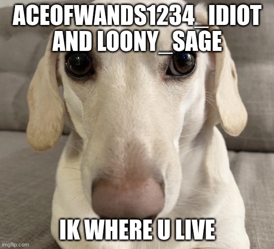 guys don't hate its a joke | ACEOFWANDS1234_IDIOT AND LOONY_SAGE; IK WHERE U LIVE | image tagged in homophobic dog | made w/ Imgflip meme maker