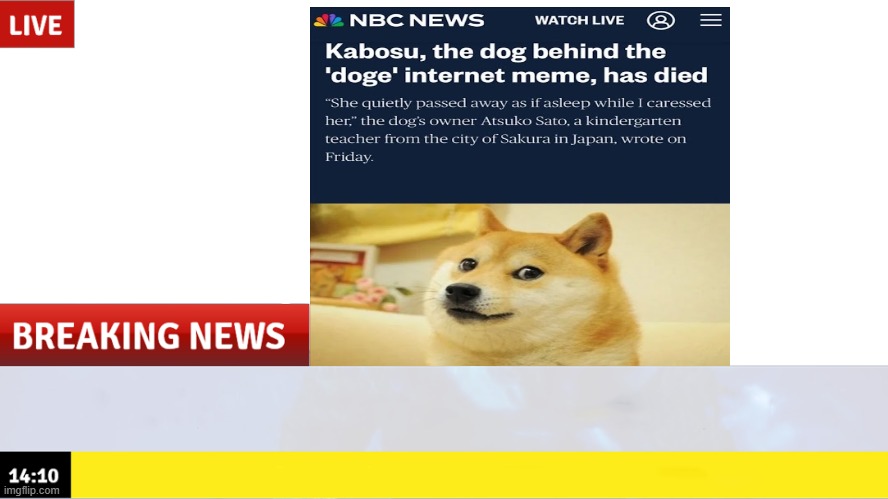 RIP doge | image tagged in breaking news template,emergency,doge,sad,noooooooooooooooooooooooo,nooooooooo | made w/ Imgflip meme maker