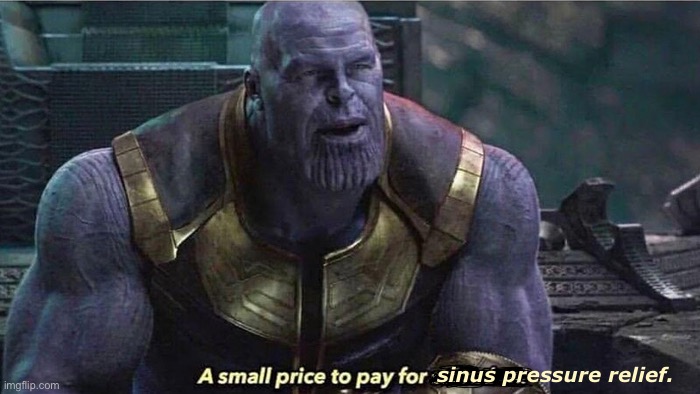 A small price to pay | sinus pressure relief. | image tagged in a small price to pay | made w/ Imgflip meme maker