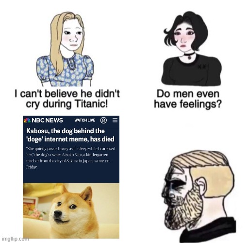 Chad crying | image tagged in chad crying,doge,sad,noooooooooooooooooooooooo,why,breaking news | made w/ Imgflip meme maker