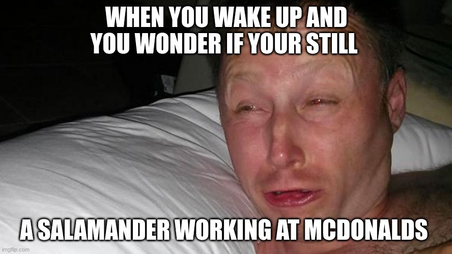 woken up | WHEN YOU WAKE UP AND YOU WONDER IF YOUR STILL; A SALAMANDER WORKING AT MCDONALDS | image tagged in woken up | made w/ Imgflip meme maker