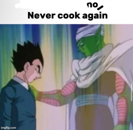 This shit was not it never cook again | image tagged in this shit was not it never cook again | made w/ Imgflip meme maker