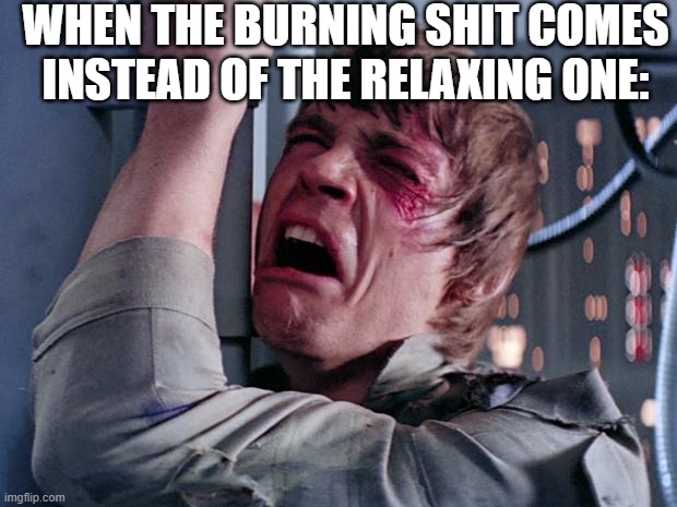 The burn... | WHEN THE BURNING SHIT COMES INSTEAD OF THE RELAXING ONE: | image tagged in luke nooooo,life,funny memes,relateable,hilarious,memes | made w/ Imgflip meme maker