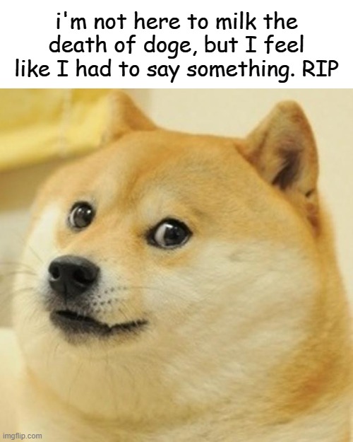 rest in peace, Kabosu. | i'm not here to milk the death of doge, but I feel like I had to say something. RIP | image tagged in memes,doge | made w/ Imgflip meme maker