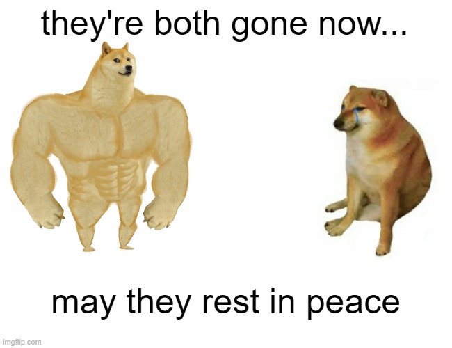 Buff Doge vs. Cheems Meme | they're both gone now... may they rest in peace | image tagged in memes,buff doge vs cheems | made w/ Imgflip meme maker