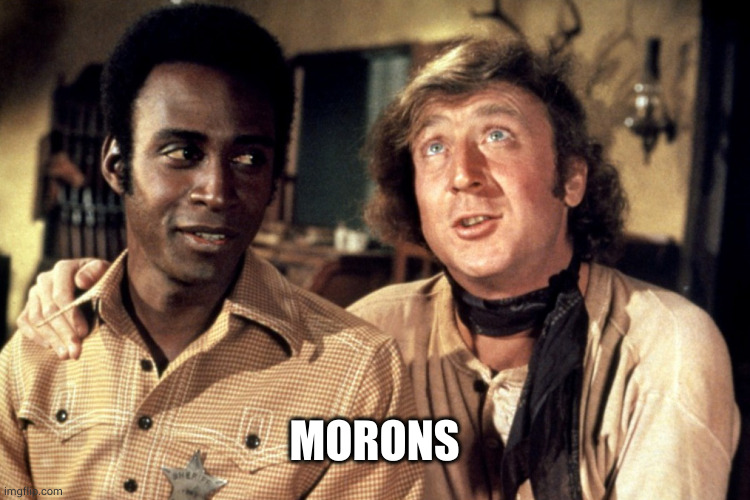 Blazing Saddles Morons | MORONS | image tagged in blazing saddles morons | made w/ Imgflip meme maker