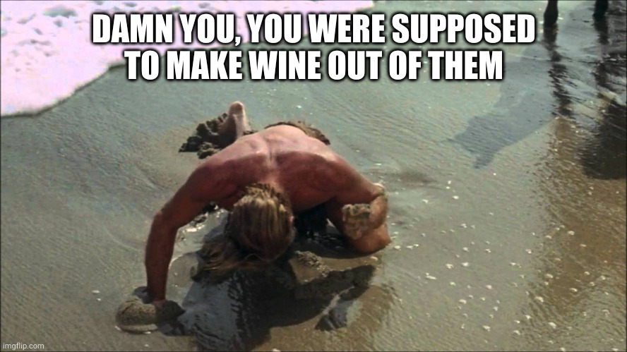 charlton heston damn you all to hell | DAMN YOU, YOU WERE SUPPOSED TO MAKE WINE OUT OF THEM | image tagged in charlton heston damn you all to hell | made w/ Imgflip meme maker
