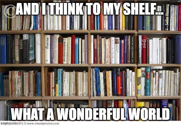 books on shelf | AND I THINK TO MY SHELF... WHAT A WONDERFUL WORLD | image tagged in books on shelf | made w/ Imgflip meme maker