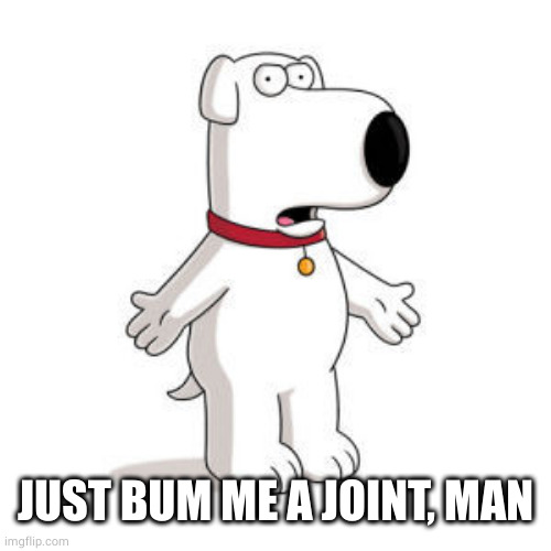 Family Guy Brian Meme | JUST BUM ME A JOINT, MAN | image tagged in memes,family guy brian | made w/ Imgflip meme maker