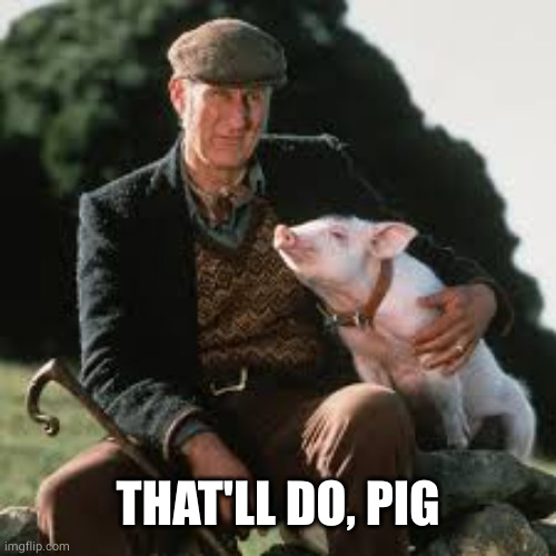 Babe pig farmer | THAT'LL DO, PIG | image tagged in babe pig farmer | made w/ Imgflip meme maker