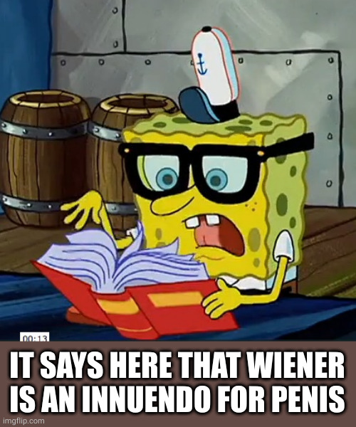 Spongebob Dictionary | IT SAYS HERE THAT WIENER IS AN INNUENDO FOR PENIS | image tagged in spongebob dictionary | made w/ Imgflip meme maker