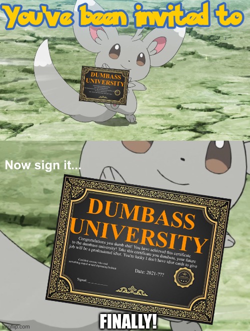 I've been invited ? | FINALLY! | image tagged in you've been invited to dumbass university | made w/ Imgflip meme maker