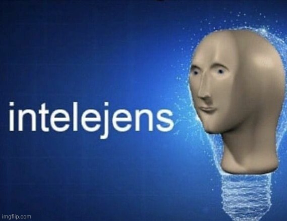 Intelligence | image tagged in intelligence | made w/ Imgflip meme maker