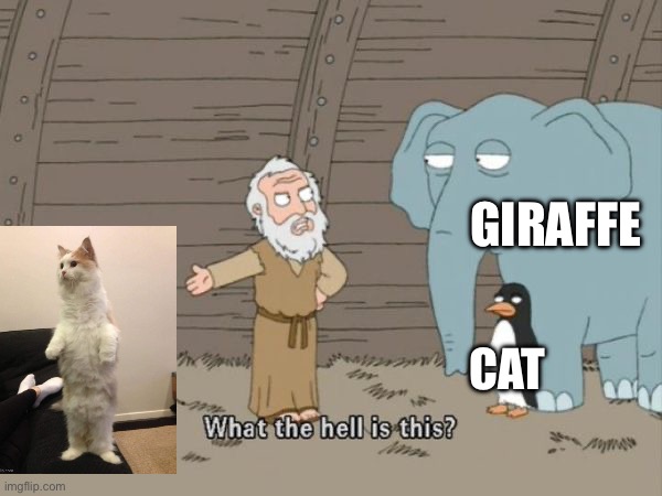 What the hell is this? | GIRAFFE CAT | image tagged in what the hell is this | made w/ Imgflip meme maker