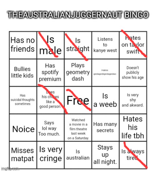 Ok but you are not straight ☠️ | image tagged in theaustralianjuggernaut bingo | made w/ Imgflip meme maker