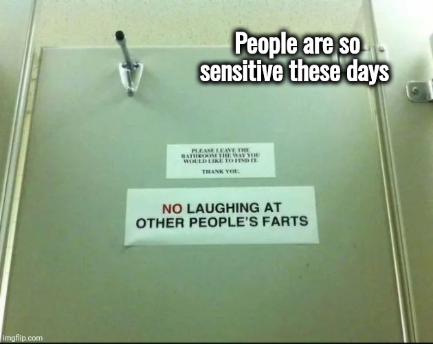 No more fun of any kind | People are so sensitive these days | image tagged in i will offend everyone,see nobody cares,overly sensitive,x x everywhere,ain't nobody got time for that,relax | made w/ Imgflip meme maker