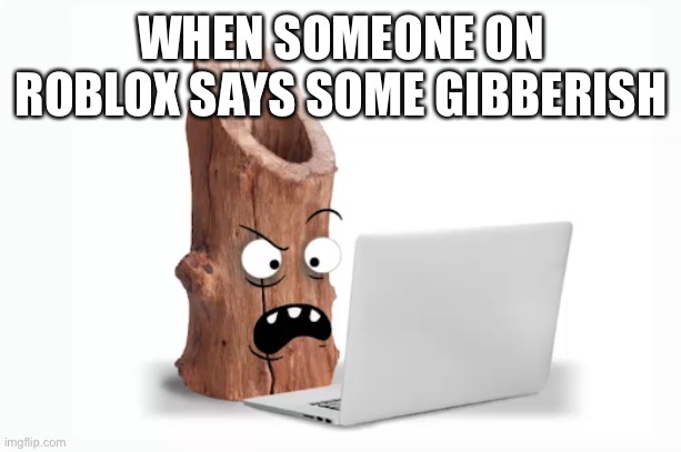 log on to computer | WHEN SOMEONE ON ROBLOX SAYS SOME GIBBERISH | image tagged in log on to computer,funny,memes,meme,roblox,roblox meme | made w/ Imgflip meme maker
