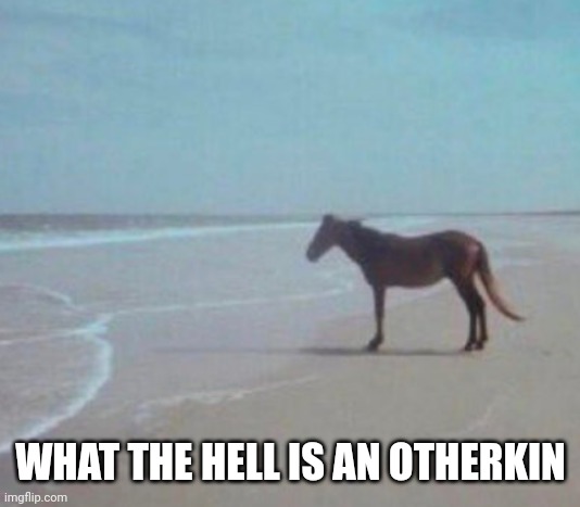 Man Horse Water | WHAT THE HELL IS AN OTHERKIN | image tagged in man horse water | made w/ Imgflip meme maker