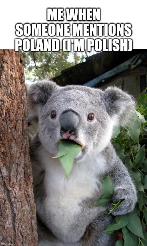 This is serious | ME WHEN SOMEONE MENTIONS POLAND (I'M POLISH) | image tagged in memes,surprised koala | made w/ Imgflip meme maker