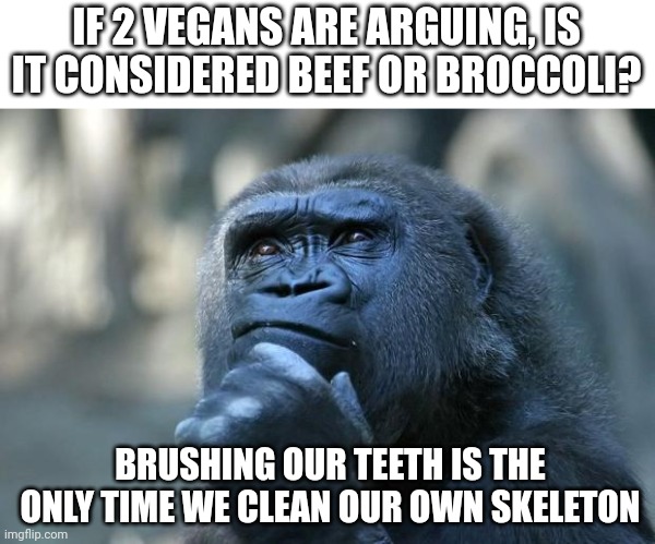 S o r c e r y | IF 2 VEGANS ARE ARGUING, IS IT CONSIDERED BEEF OR BROCCOLI? BRUSHING OUR TEETH IS THE ONLY TIME WE CLEAN OUR OWN SKELETON | image tagged in deep thoughts | made w/ Imgflip meme maker