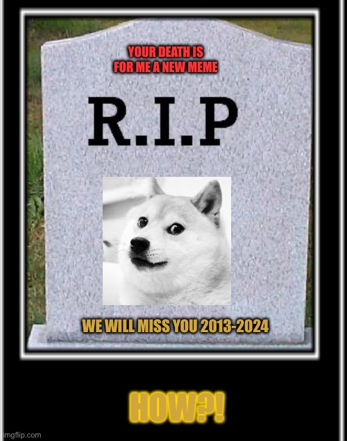 RIP kabosu:.( | YOUR DEATH IS FOR ME A NEW MEME; WE WILL MISS YOU 2013-2024; HOW?! | image tagged in kabosu,rip | made w/ Imgflip meme maker