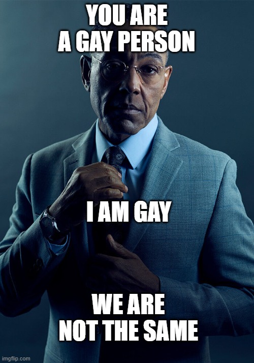 your gay, im gay... | YOU ARE A GAY PERSON; I AM GAY; WE ARE NOT THE SAME | image tagged in gus fring we are not the same,funny memes,relateable,wait what,crazy,hilarious | made w/ Imgflip meme maker