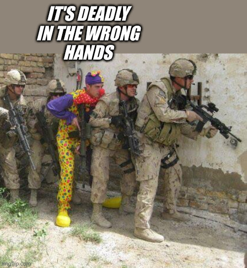 Army clown | IT'S DEADLY
IN THE WRONG
 HANDS | image tagged in army clown | made w/ Imgflip meme maker