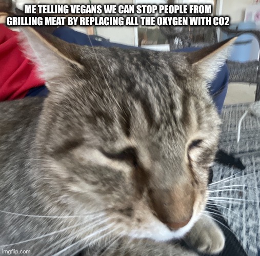 Anyone enjoy breathing? | ME TELLING VEGANS WE CAN STOP PEOPLE FROM GRILLING MEAT BY REPLACING ALL THE OXYGEN WITH CO2 | image tagged in distinguished cat,veganism,vegan,vegan logic,oxygen,offensive | made w/ Imgflip meme maker