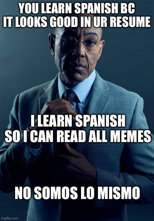 we are not the same | YOU LEARN SPANISH BC IT LOOKS GOOD IN UR RESUME; I LEARN SPANISH SO I CAN READ ALL MEMES; NO SOMOS LO MISMO | image tagged in gus fring we are not the same | made w/ Imgflip meme maker