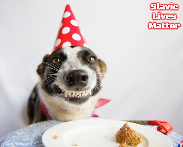 birthday dog | Slavic Lives Matter | image tagged in birthday dog,slavic | made w/ Imgflip meme maker