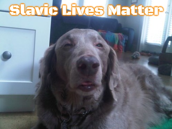 High Dog Meme | Slavic Lives Matter | image tagged in memes,high dog,slavic | made w/ Imgflip meme maker