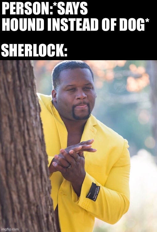 Ah yes…the Hound of Baskervilles | PERSON:*SAYS HOUND INSTEAD OF DOG*; SHERLOCK: | image tagged in black guy hiding behind tree | made w/ Imgflip meme maker