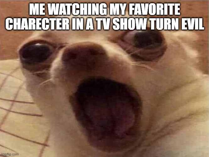 Suprised dog | ME WATCHING MY FAVORITE CHARECTER IN A TV SHOW TURN EVIL | image tagged in suprised dog | made w/ Imgflip meme maker