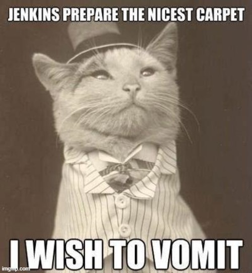 A Sophisticated Cat Puke on the Finest Carpets | image tagged in vince vance,cats,i love cats,vomit,carpet,funny cat memes | made w/ Imgflip meme maker