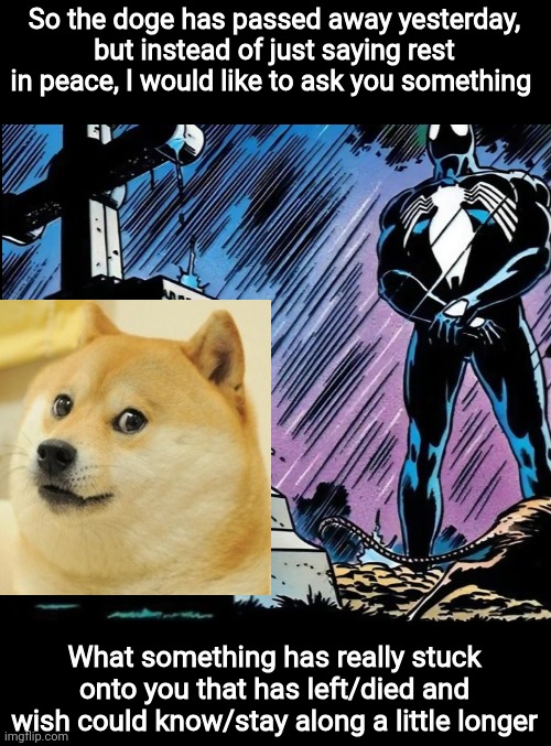 But it's sad that the news article only refer Kabosu (the dogs name) as the dog who inspired dogecoins | So the doge has passed away yesterday, but instead of just saying rest in peace, I would like to ask you something; What something has really stuck onto you that has left/died and wish could know/stay along a little longer | image tagged in doge,rest in peace,reality,question,oh wow are you actually reading these tags | made w/ Imgflip meme maker