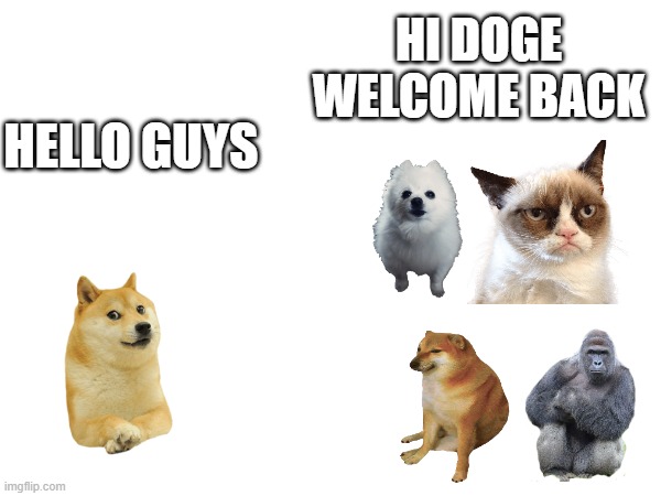 R.I.P Doge May You Live On As A Meme Forever | HI DOGE WELCOME BACK; HELLO GUYS | image tagged in memes,doge,cheems,harambe,grumpy cat,gabe the dog | made w/ Imgflip meme maker