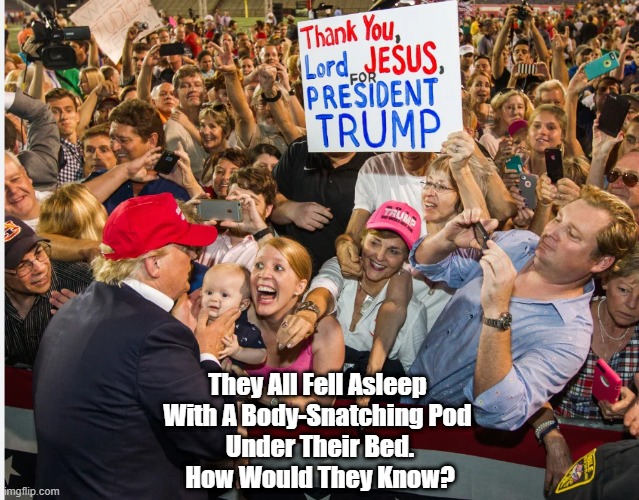 Invasion Of The Body Snatchers! | They All Fell Asleep 
With A Body-Snatching Pod 
Under Their Bed.
How Would They Know? | image tagged in body snatchers,a pod under the bed,how would they know,trump,christian conservatives,thank you jesus | made w/ Imgflip meme maker