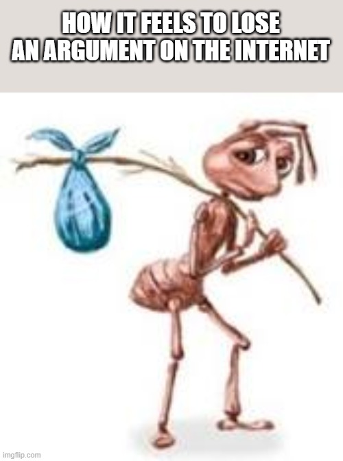 Sad ant with bindle | HOW IT FEELS TO LOSE AN ARGUMENT ON THE INTERNET | image tagged in sad ant with bindle | made w/ Imgflip meme maker