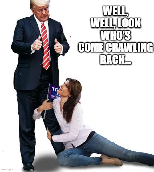 Nikki Crawls | WELL, WELL, LOOK WHO'S COME CRAWLING BACK... | image tagged in politics,trump,nikki haley | made w/ Imgflip meme maker