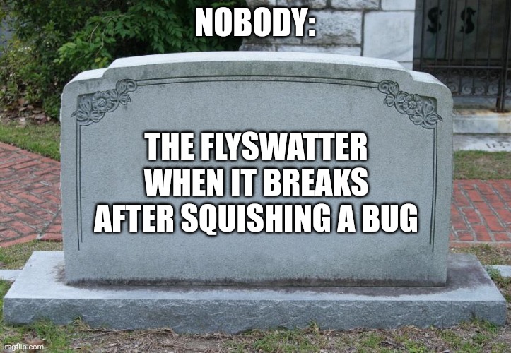 RIP Flyswatter | NOBODY:; THE FLYSWATTER WHEN IT BREAKS AFTER SQUISHING A BUG | image tagged in gravestone,relatable,jpfan102504 | made w/ Imgflip meme maker